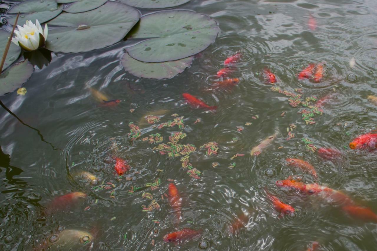 Bee House Maya Hotel Rob Ngoại thất bức ảnh
